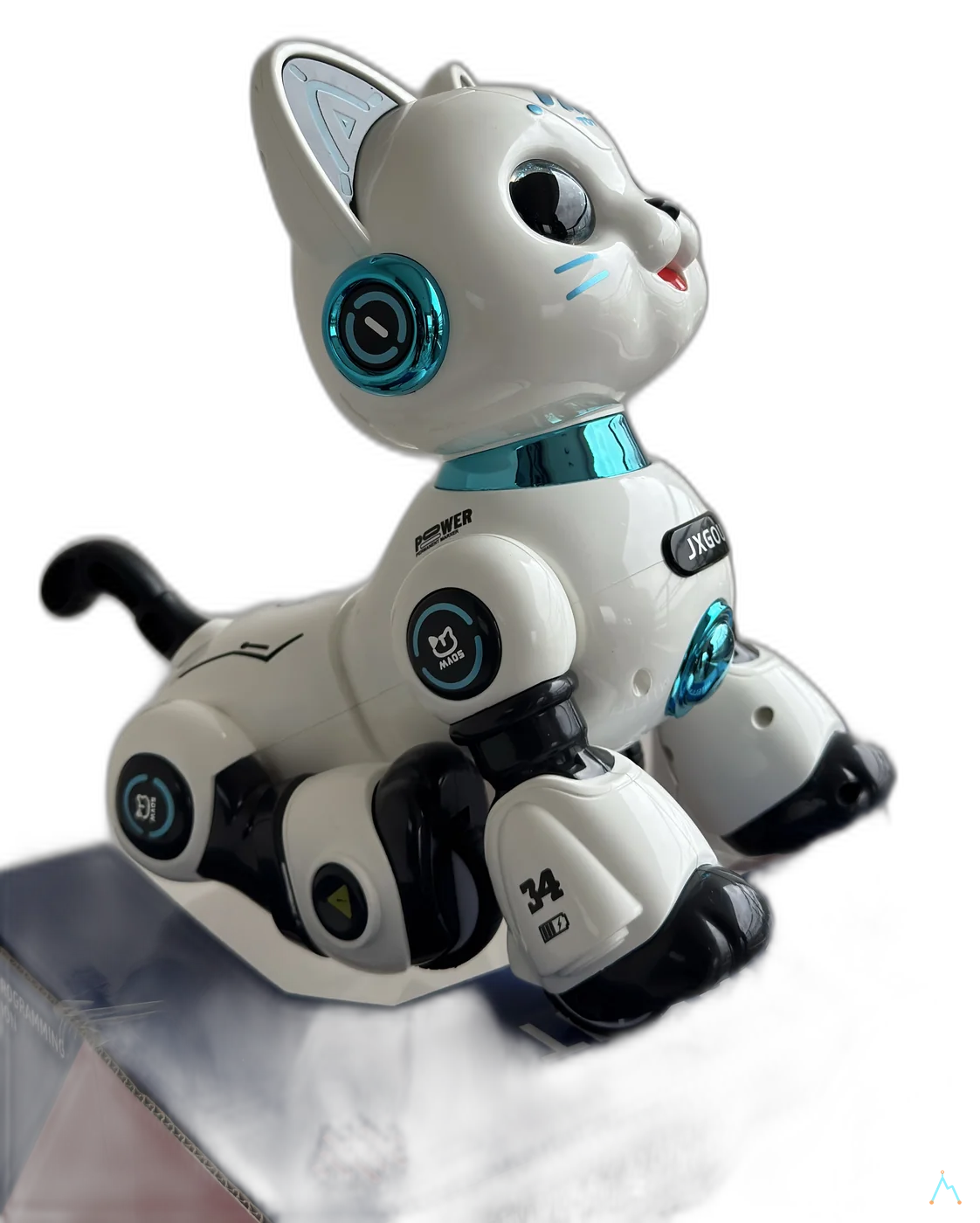 Echo